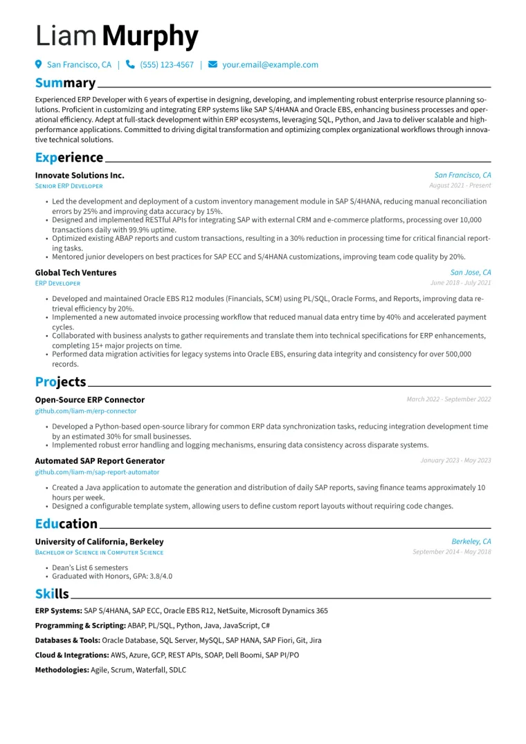 ERP Developer Resume Example CV template preview