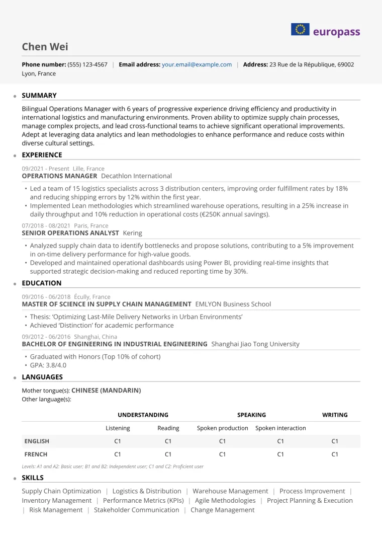 European CV example