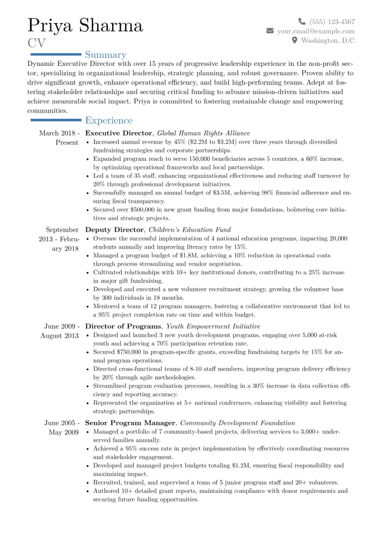 Executive Director Resume Example CV template preview