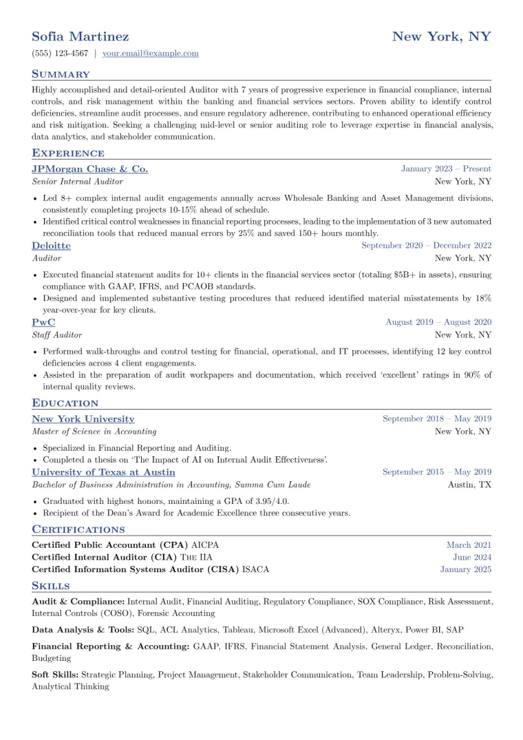 Experienced Auditor Resume Example CV template preview