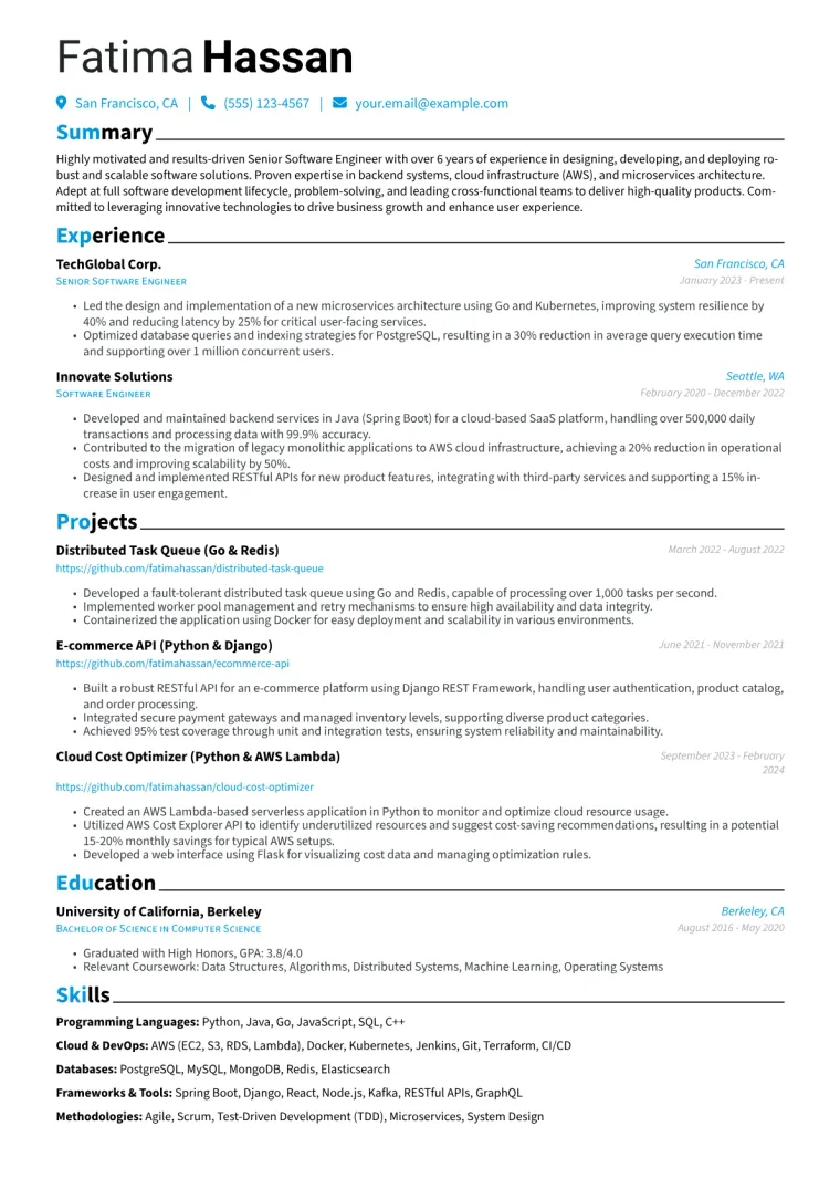 Experienced Developer Resume Example CV template preview