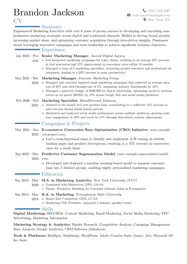 Experienced Marketing Executive Resume Example preview