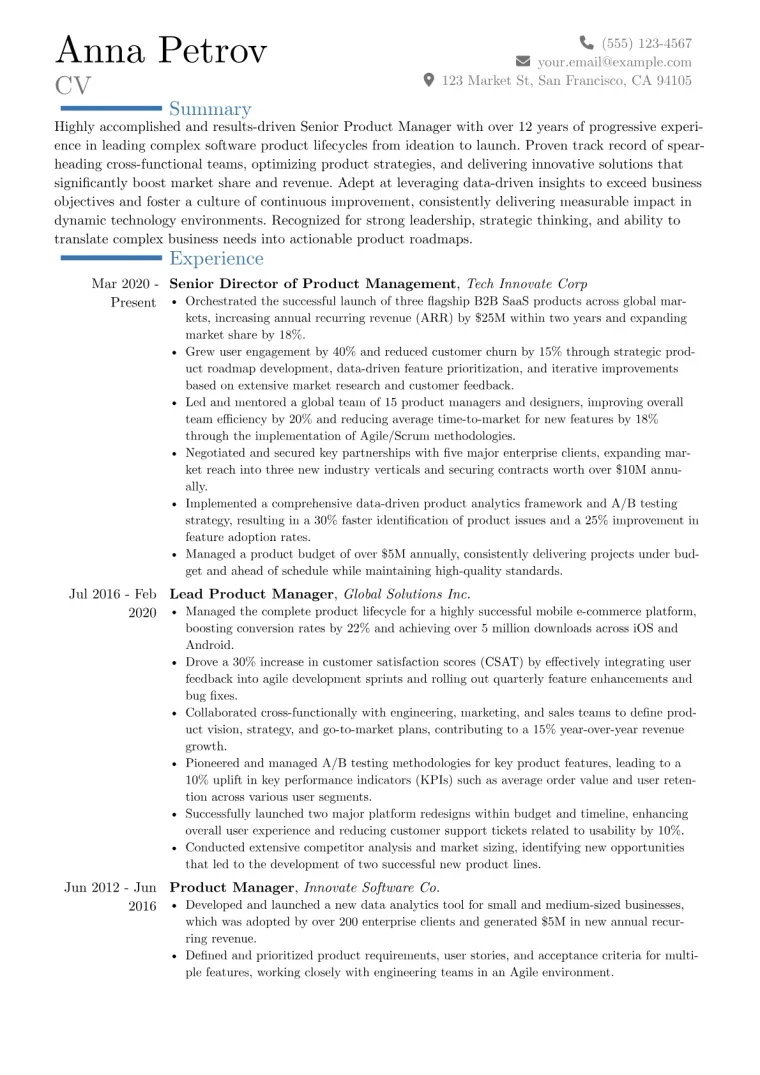 Experienced Resume Format Example preview