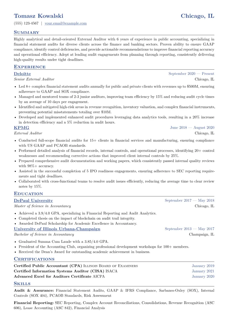 External Auditor Resume Example CV template preview