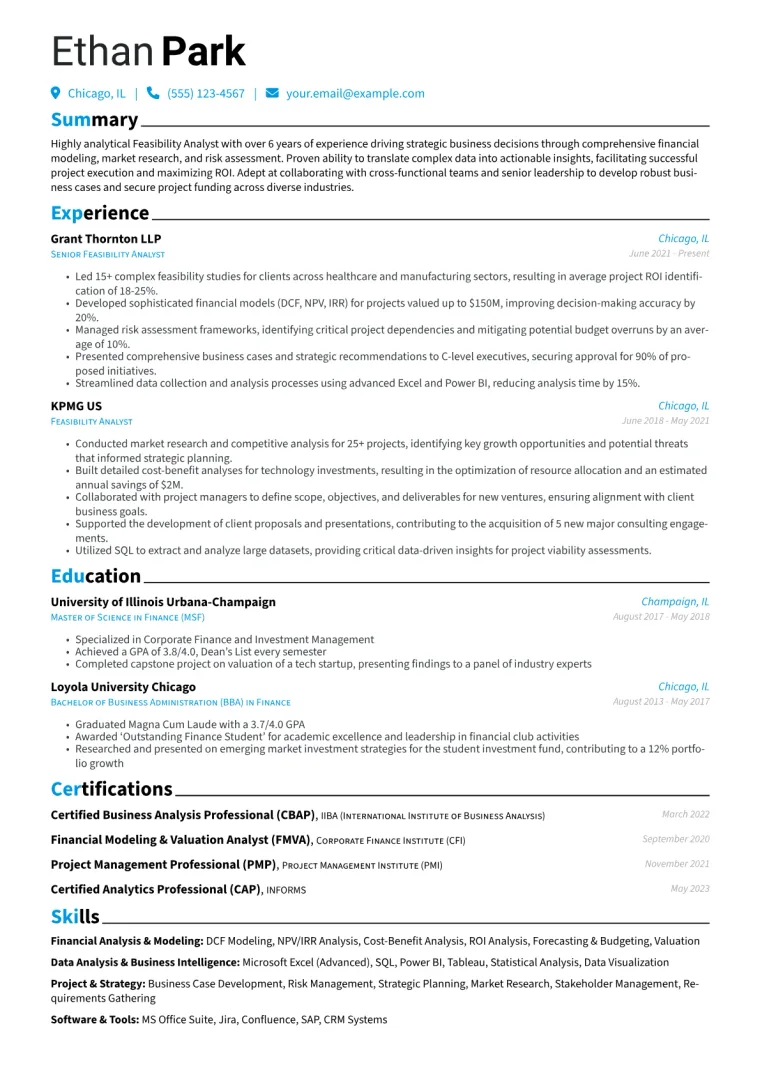 Feasibility Analyst Resume Example CV template preview