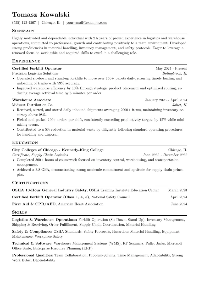 Felon Resume Example CV template preview