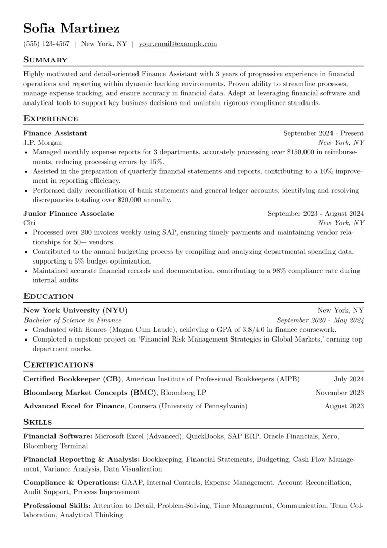 Finance Assistant Resume Example CV template preview
