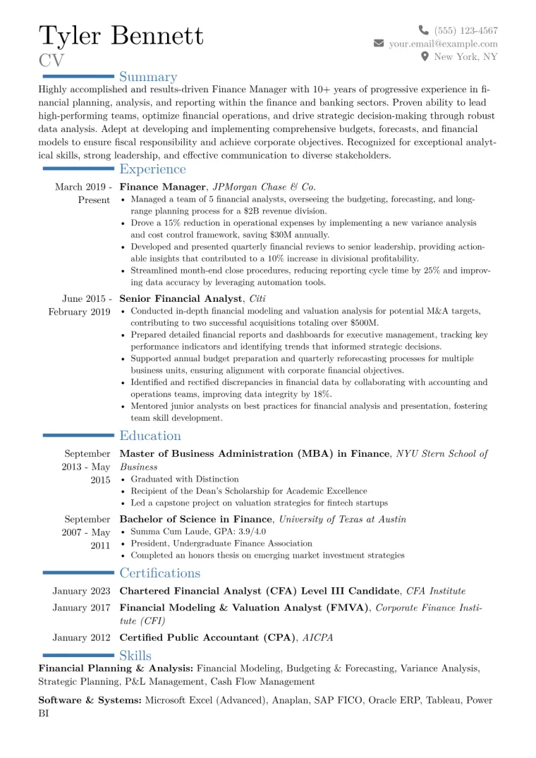 Finance Manager Resume Example CV template preview
