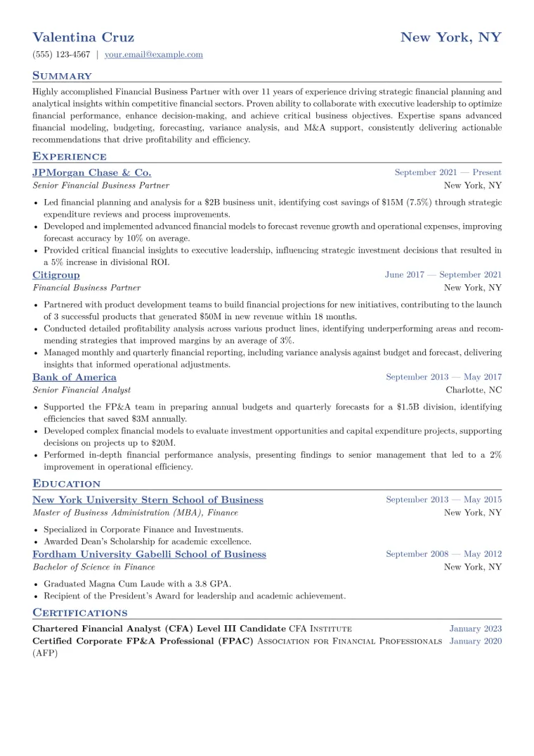 Financial Business Partner Resume Example CV template preview