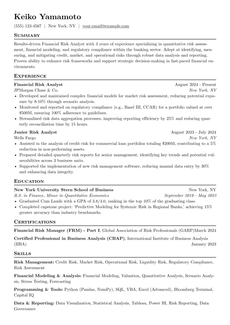 Financial Risk Analyst Resume Example CV template preview