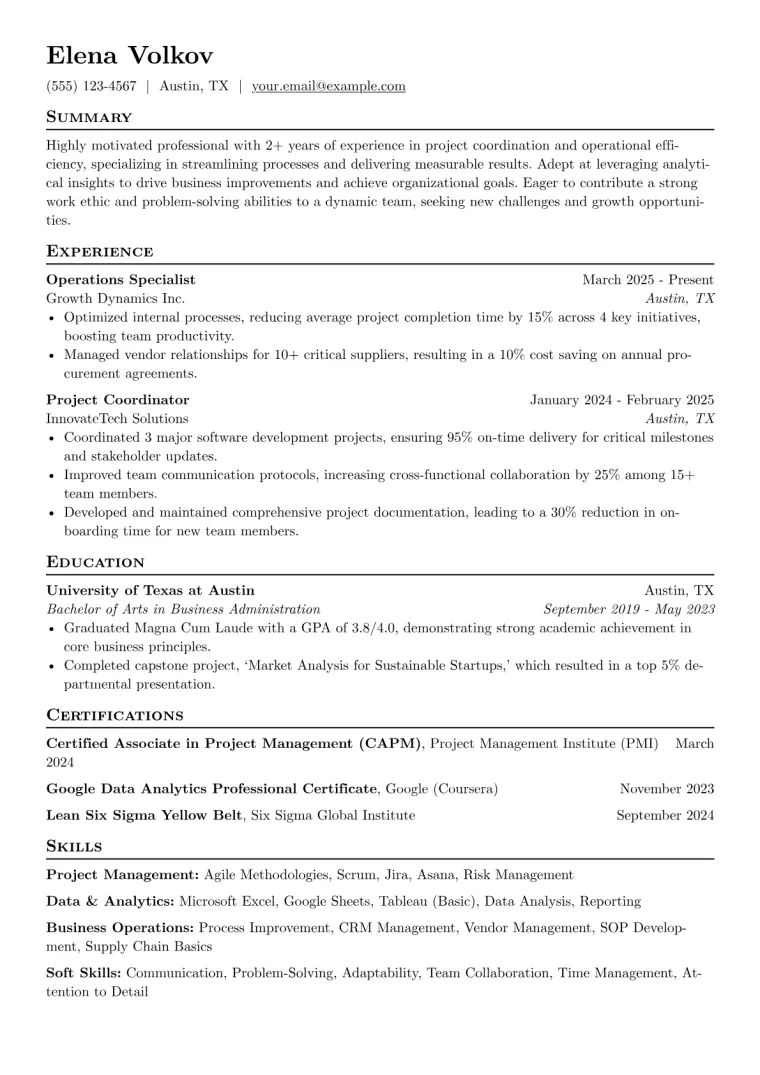 Fired From Job Resume Example CV template preview