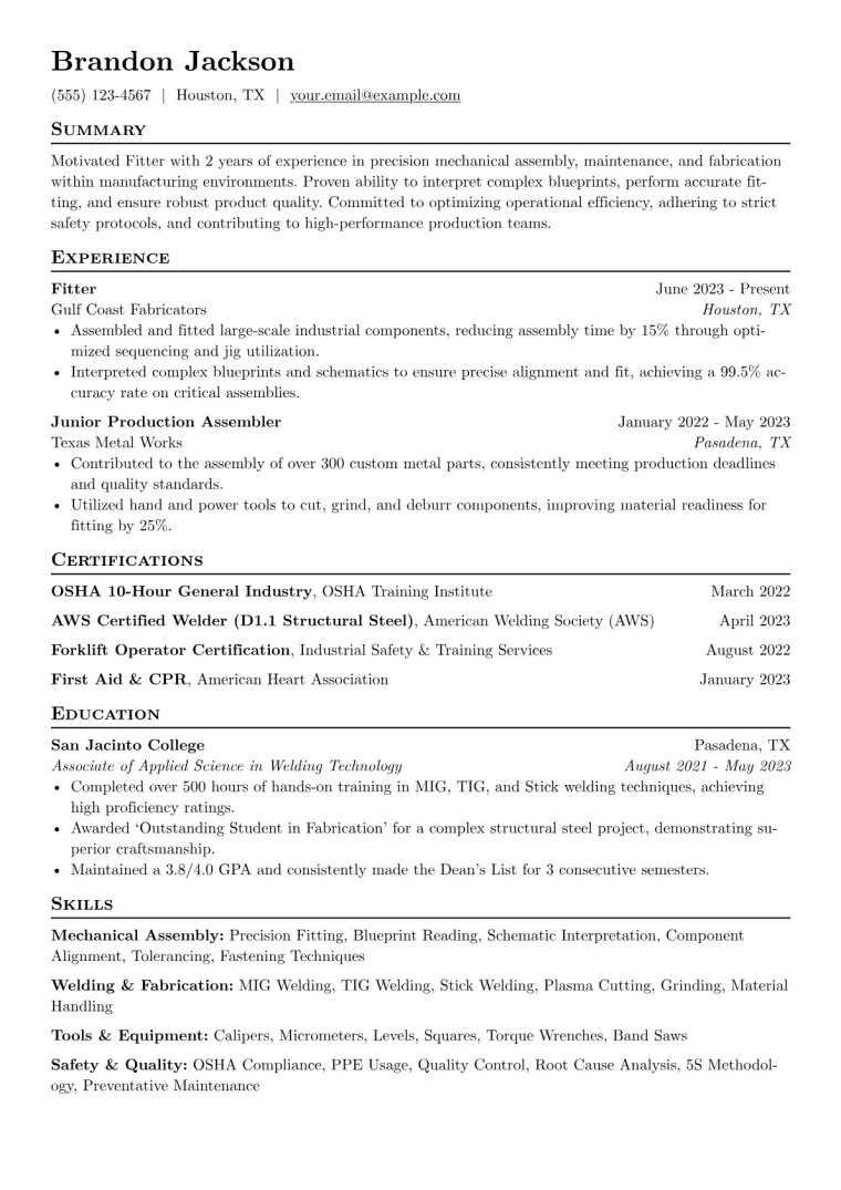Fitter Resume Example CV template preview