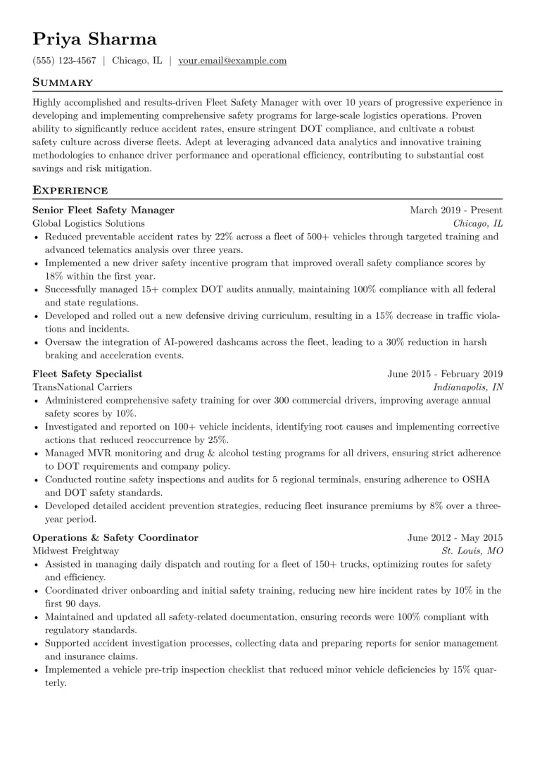 Fleet Safety Manager Resume Example CV template preview