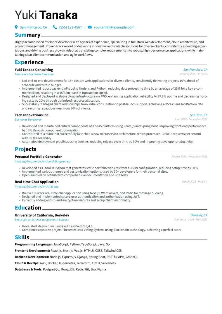 Freelance Developer Resume Example preview