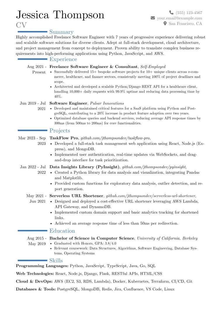 Freelance Programmer Resume Example CV template preview