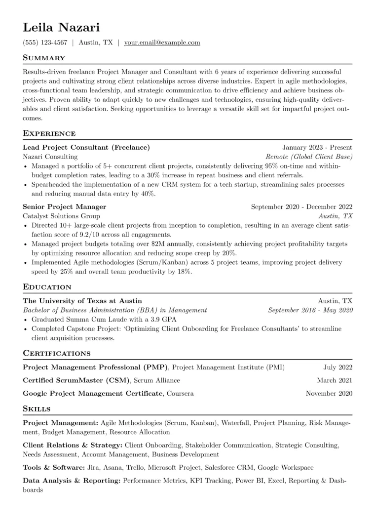 Freelancer Resume Example CV template preview