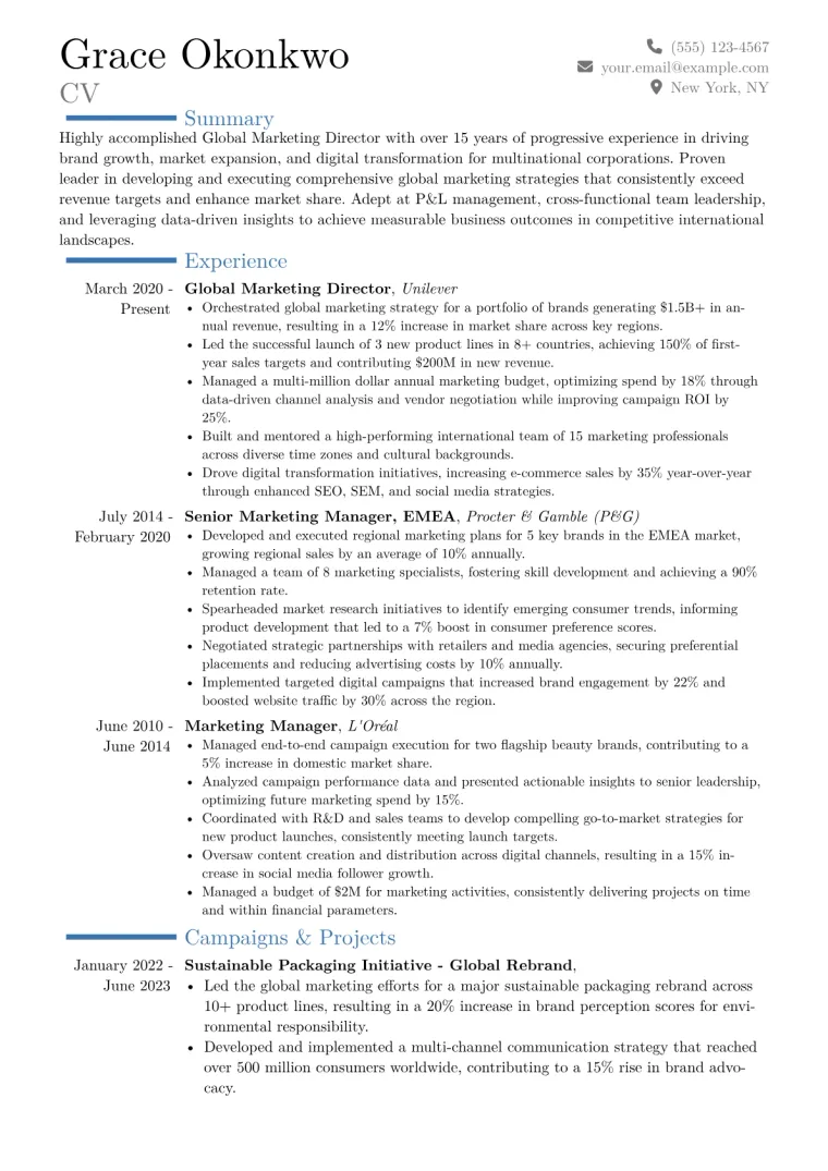 Global Marketing Director Resume Example CV template preview