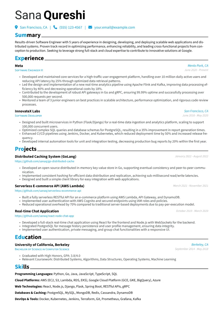 Google Resume Example CV template preview
