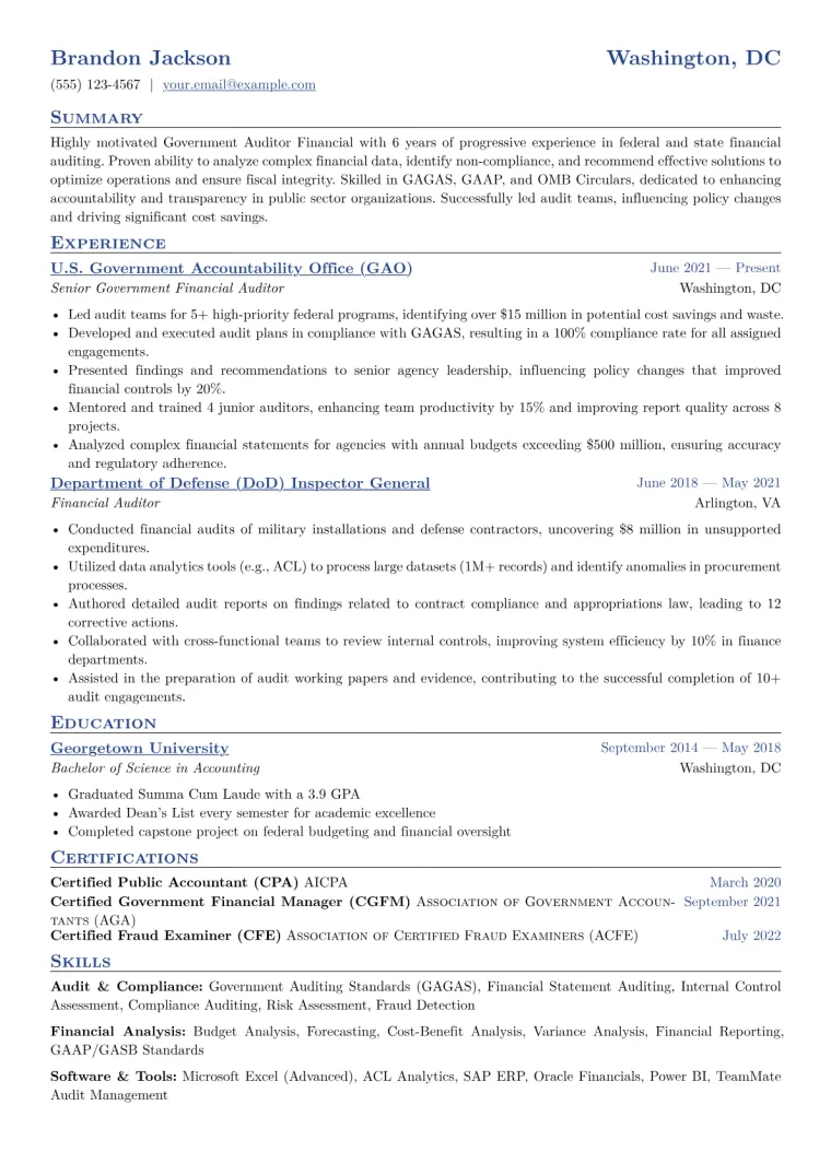 Government Auditor Financial Resume Example CV template preview