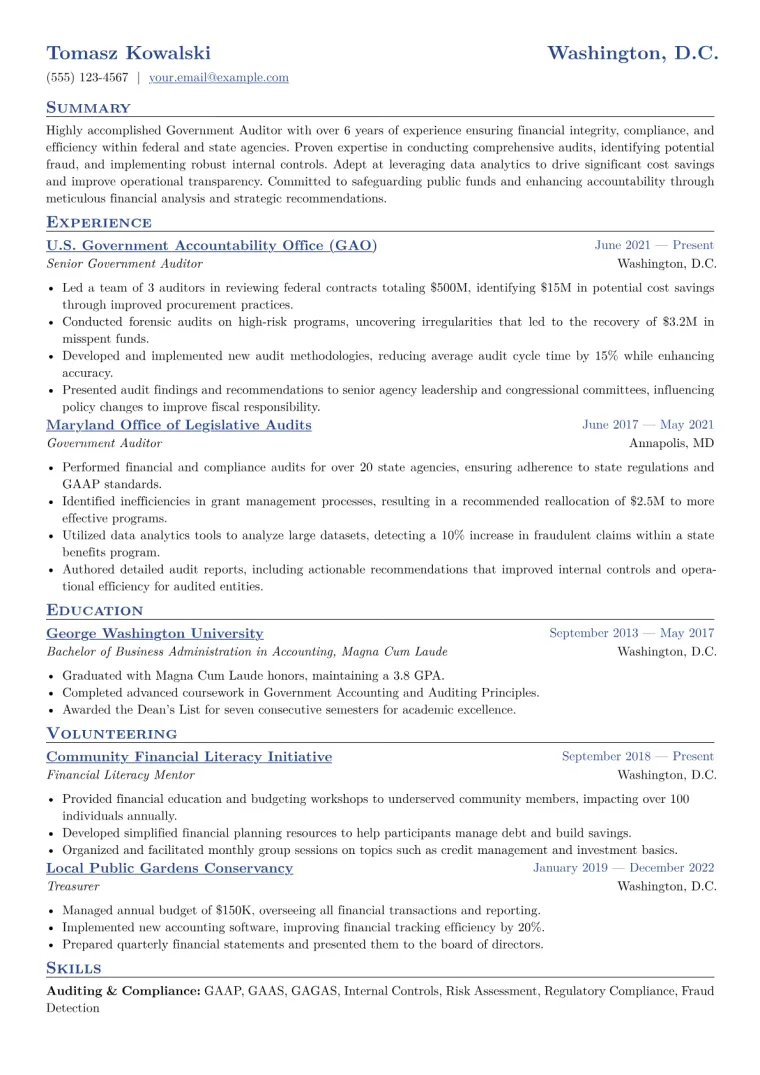 Government Auditor Resume Example CV template preview
