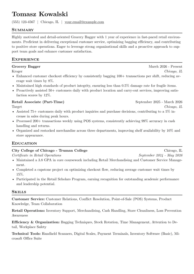 Grocery Bagger Resume Example CV template preview