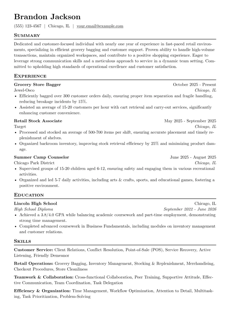 Grocery Store Bagger Resume Example CV template preview