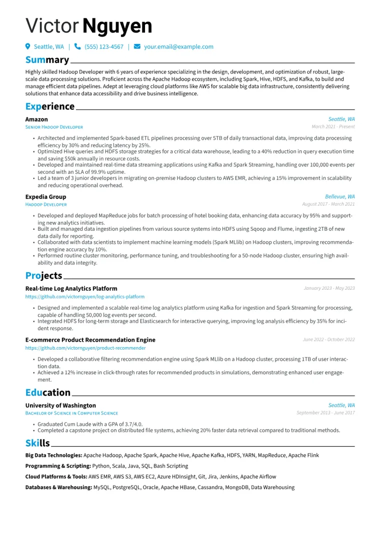 Hadoop Developer Resume Example CV template preview