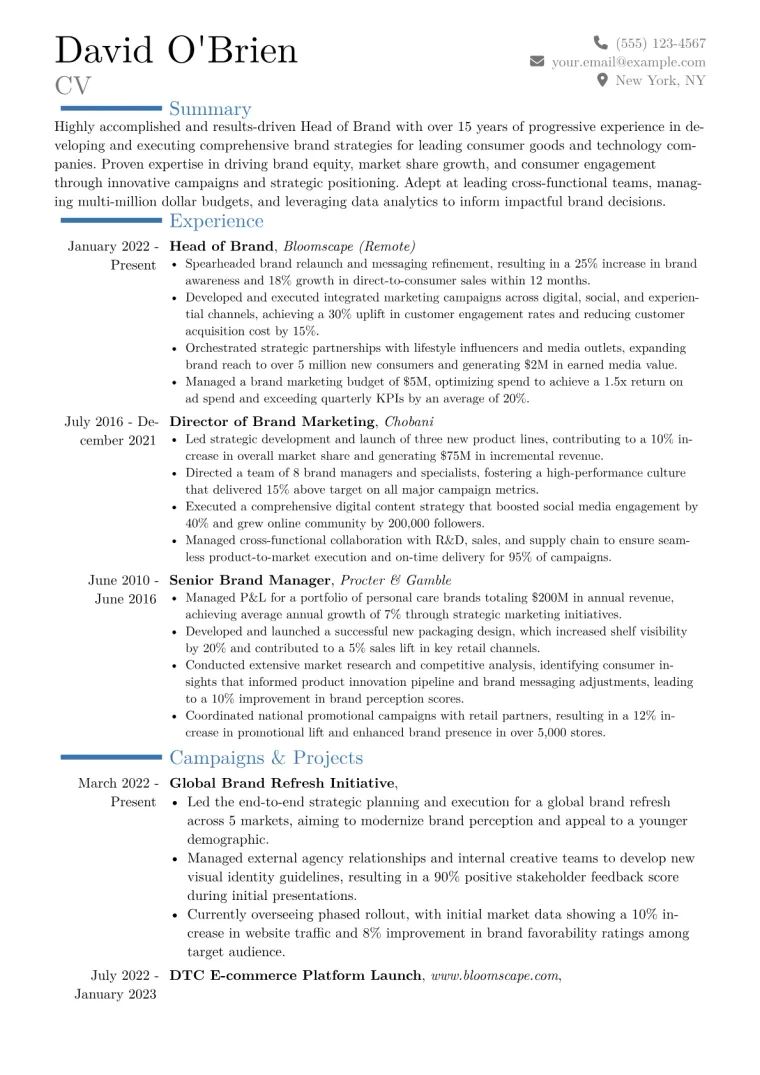 Head of Brand Resume Example CV template preview