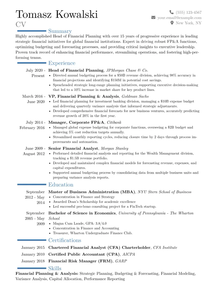 Head of Financial Planning Resume Example CV template preview