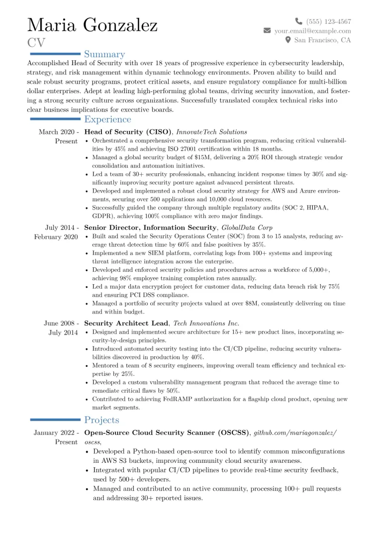 Head of Security Resume Example CV template preview