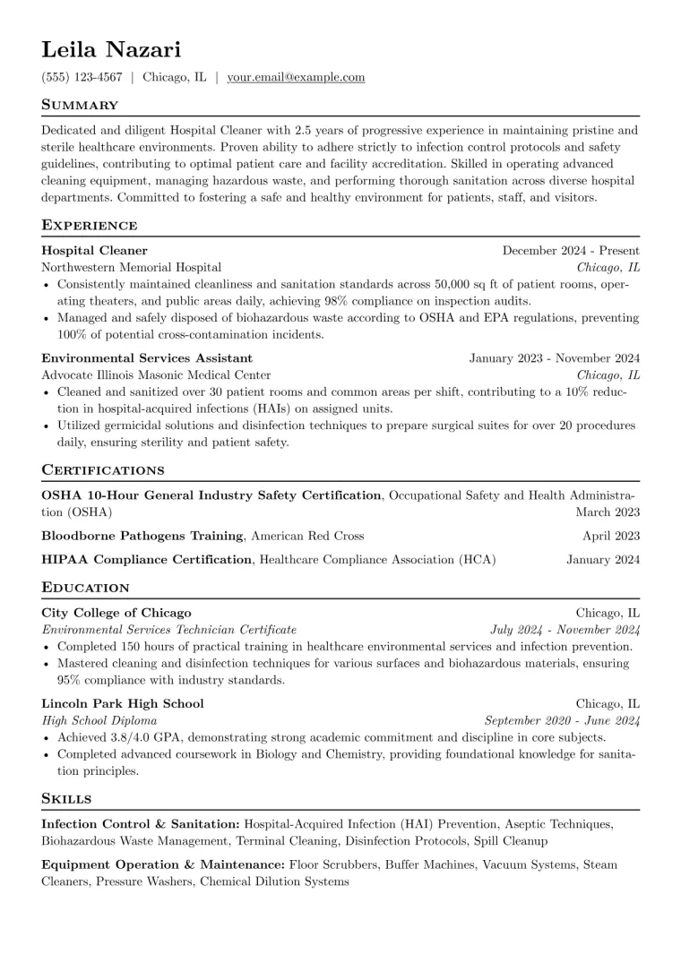 Hospital Cleaner Resume Example preview