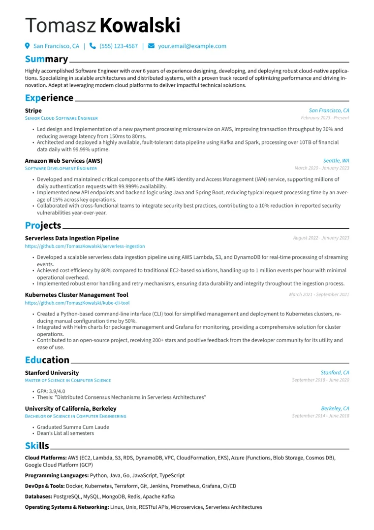 IBM Resume Example preview