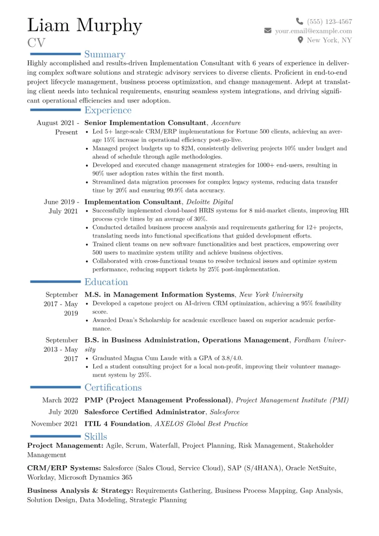 Implementation Consultant Resume Example CV template preview