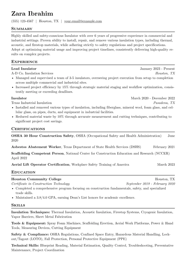 Insulator Resume Example CV template preview