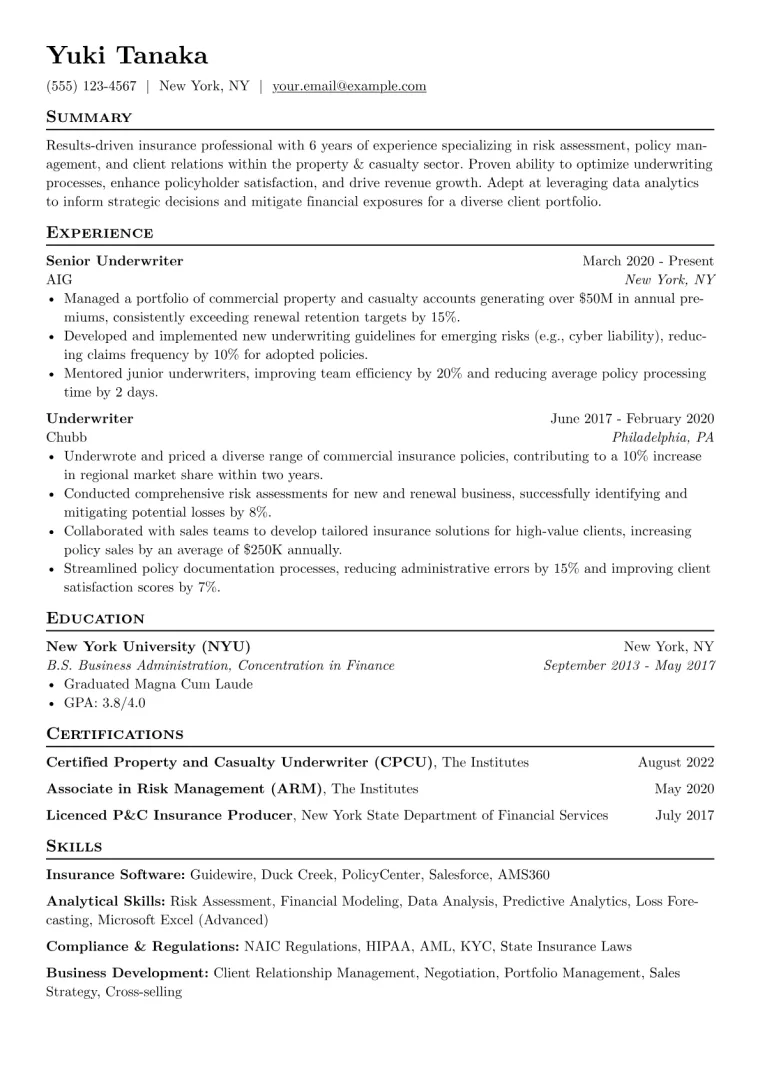 Insurance Resume Example CV template preview