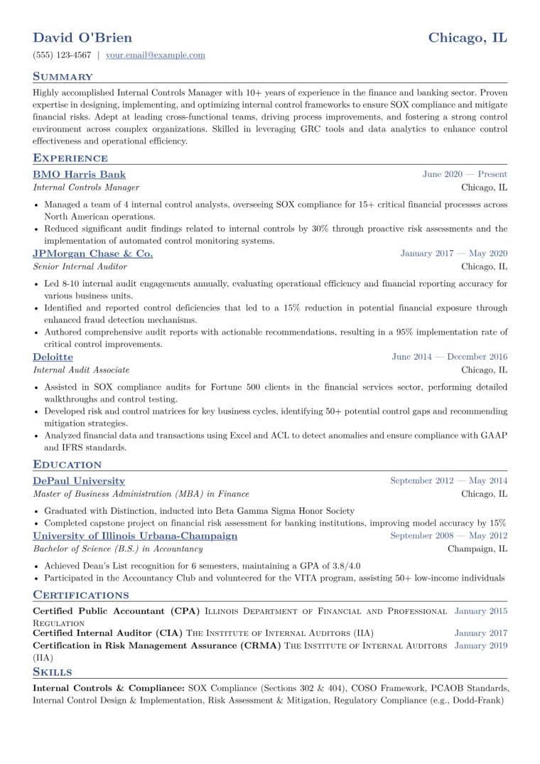 Internal Controls Manager Resume Example CV template preview