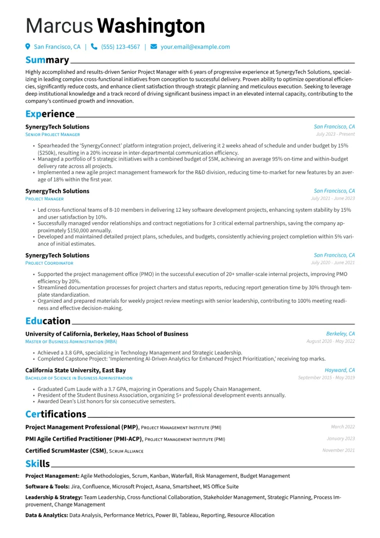 Internal Position Resume Example CV template preview