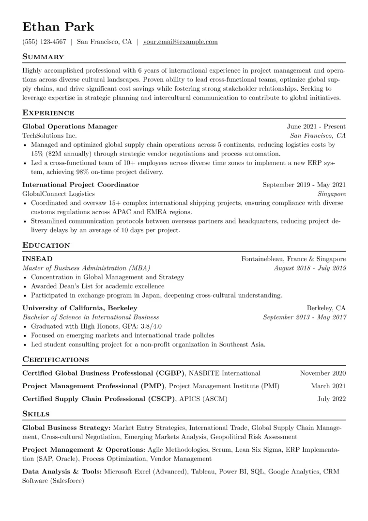 International Resume Example CV template preview