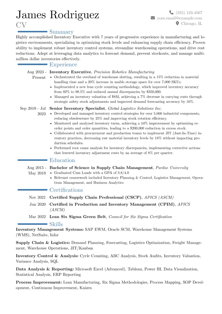 Inventory Executive Resume Example CV template preview