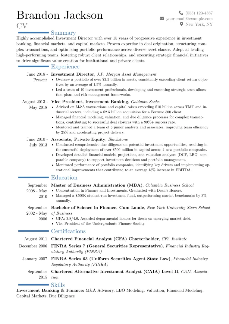 Investment Director Resume Example CV template preview