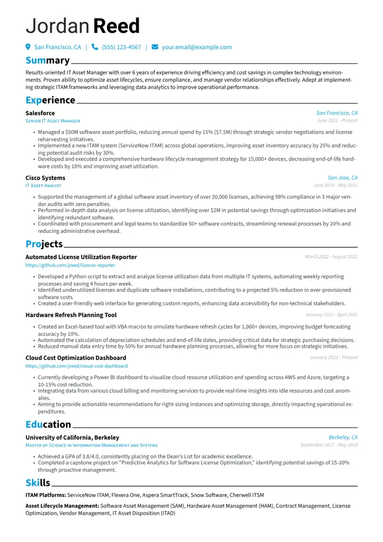 IT Asset Manager Resume Example CV template preview