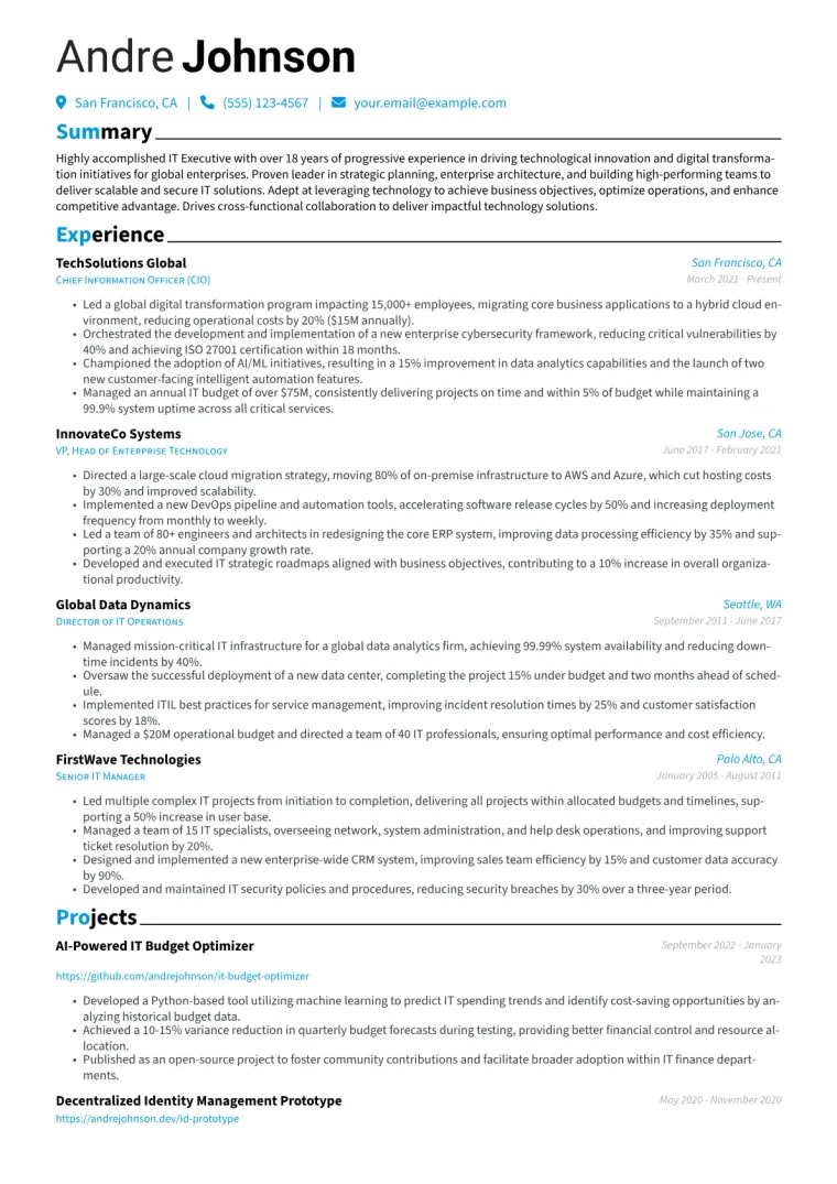 IT Executive Resume Example CV template preview