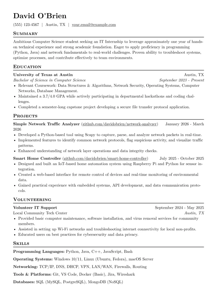 IT Internship Resume Example CV template preview