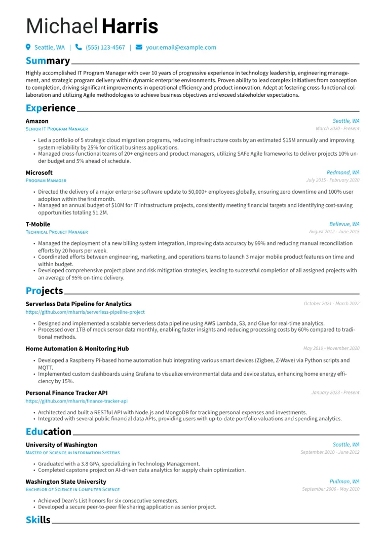 IT Program Manager Resume Example CV template preview