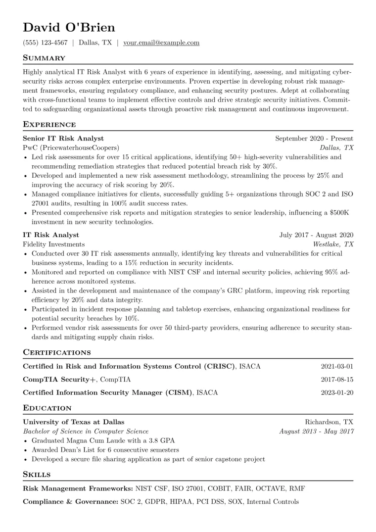 IT Risk Analyst Resume Example CV template preview