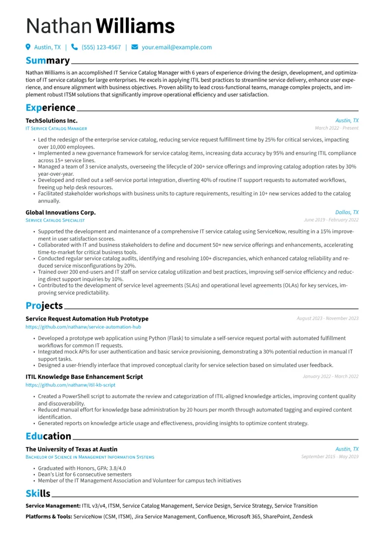 IT Service Catalog Manager Resume Example CV template preview