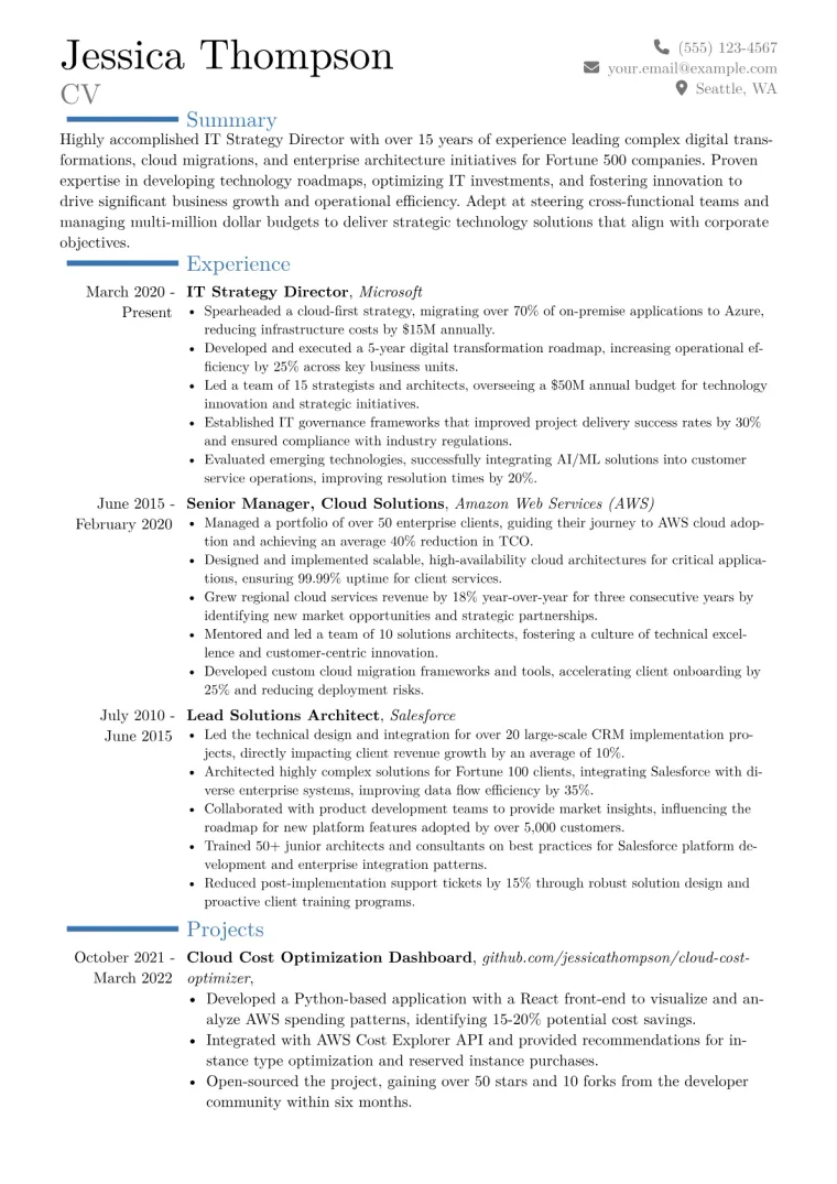 IT Strategy Director Resume Example CV template preview