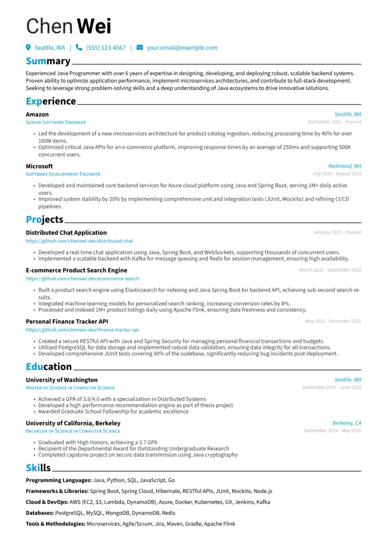 Java Programmer Resume Example CV template preview