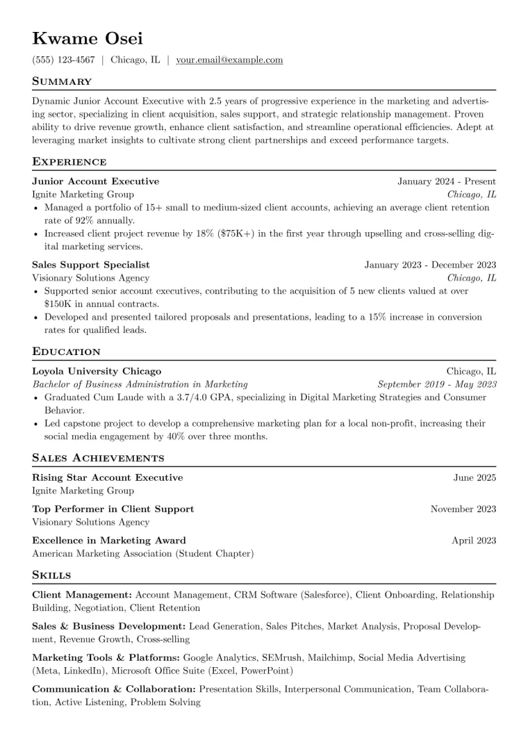 Junior Account Executive Resume Example CV template preview