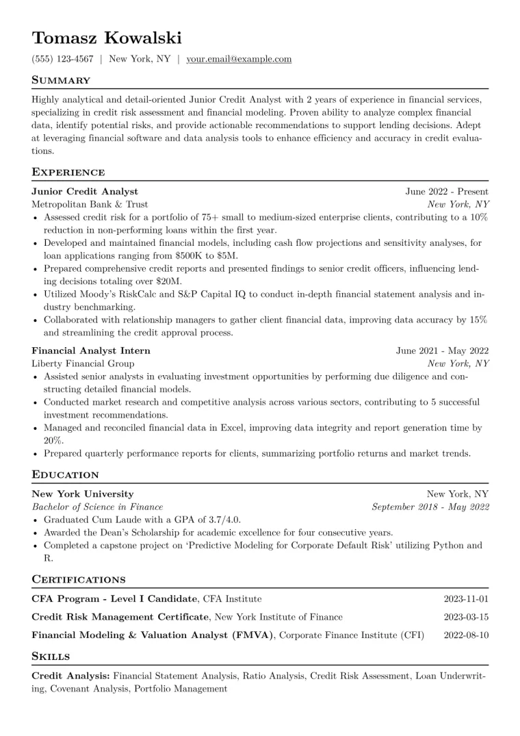 Junior Credit Analyst Resume Example CV template preview